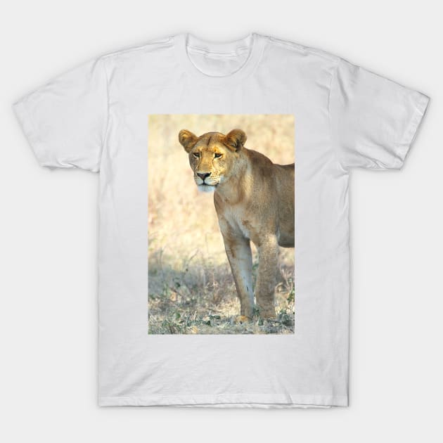 African Lion, Serengeti, Tanzania T-Shirt by Carole-Anne